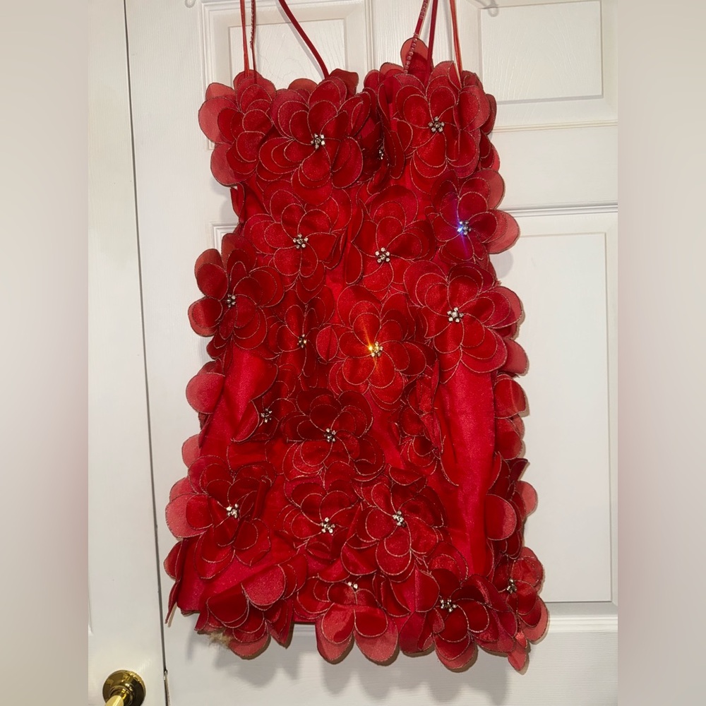 Terani Couture Floral Appliqué Mini Dress it’s between red and pink color